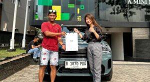 mini delivery, countryman s, sage green