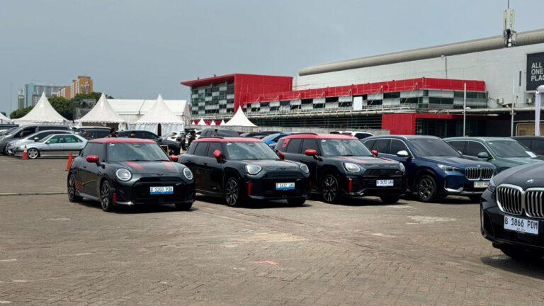 mini indonesia festival of joy