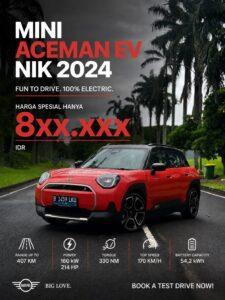 MINI ELECTRIC ACEMAN