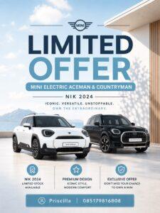 MINI ELECTRIC